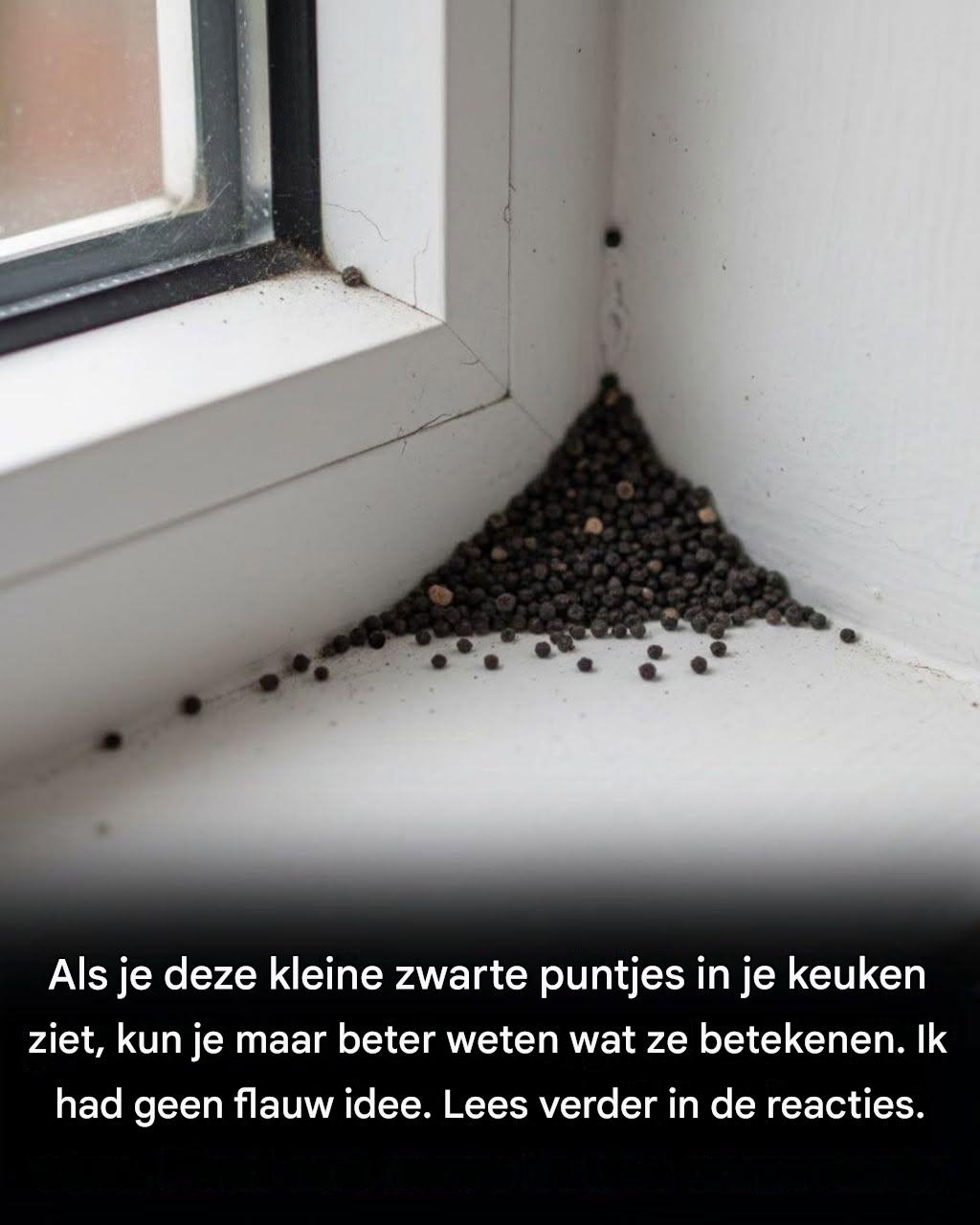 Wat zijn die vreemde zwarte puntjes in je keuken?
