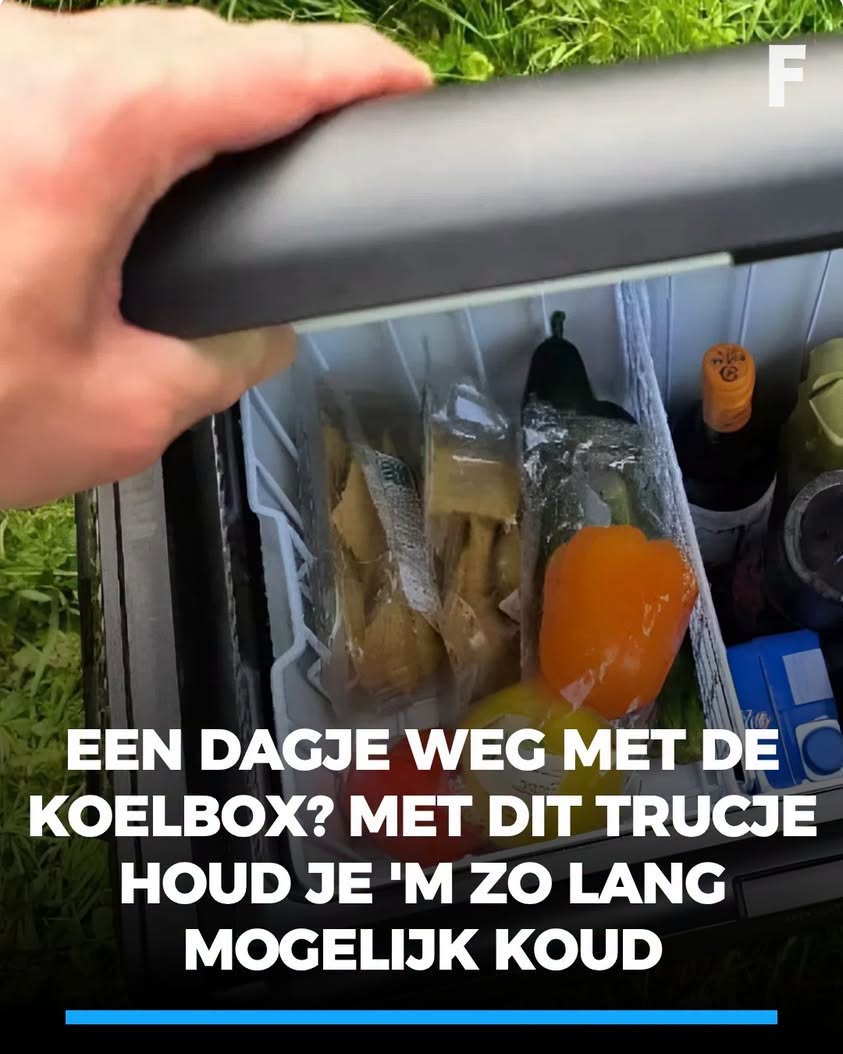 Dit koelbox-trucje wil je écht kennen Lees verder in de reacties