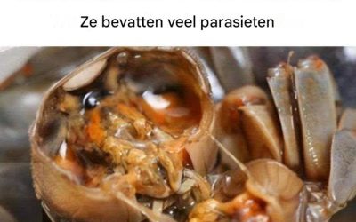 Wordt de waarschuwing “Artsen waarschuwen: Beperk de consumptie van deze 4 voedingsmiddelen onmiddellijk, ze bevatten veel parasieten” online veelvuldig verspreid?