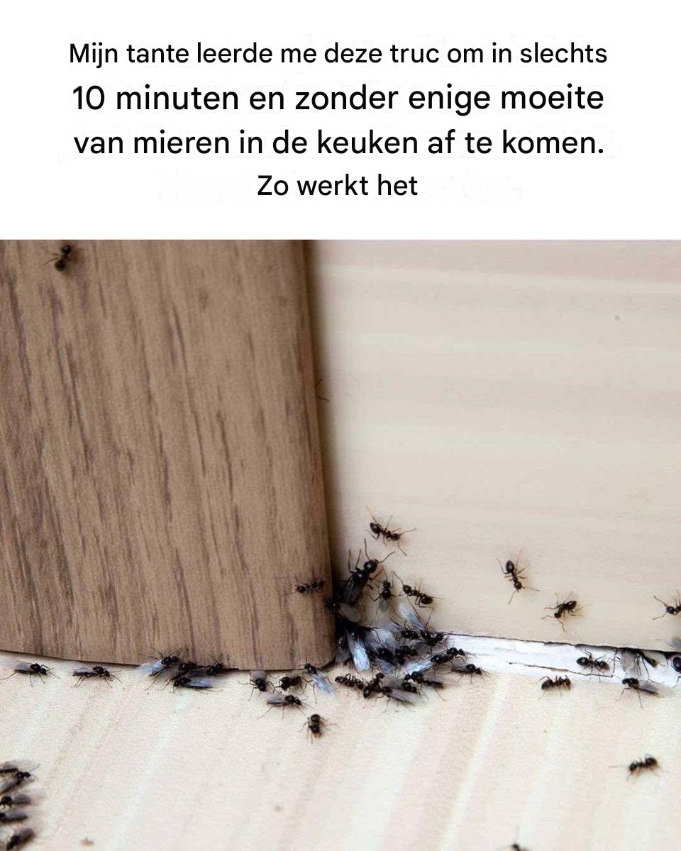 Ik heb al van alles geprobeerd, maar deze truc werkt voor mij!