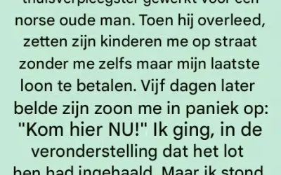 Tien jaar stilte en een geheime erfenis: wat de envelop onder het bed van de miljonair verborgen hield.