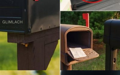 Waarom brievenbussen in de zomer insecten aantrekken en een eenvoudige manier om dit te voorkomen