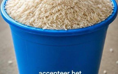 Een regen van bankbiljetten: zeg gewoon ja… Ontdek meer