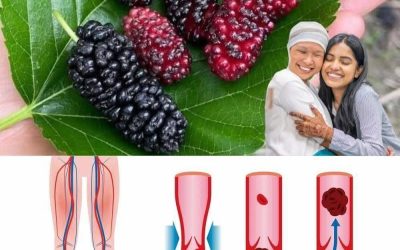 Eén blad helpt tegen diabetes, hoge bloeddruk en lichamelijke pijnen.