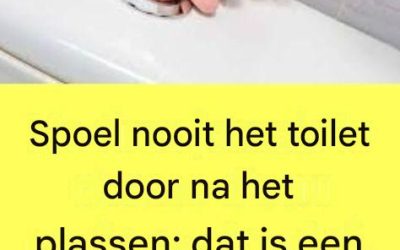 Na dit gezien te hebben, zul je nooit meer op dezelfde manier het toilet doorspoelen.