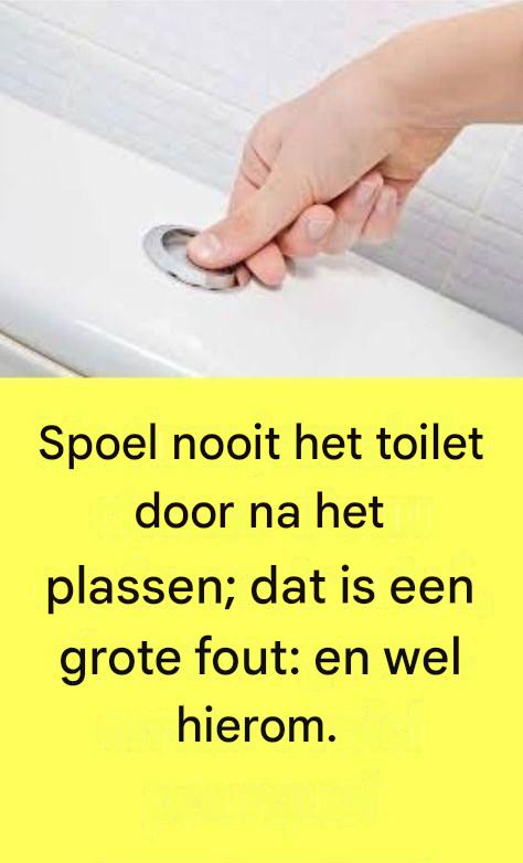 Na dit gezien te hebben, zul je nooit meer op dezelfde manier het toilet doorspoelen.