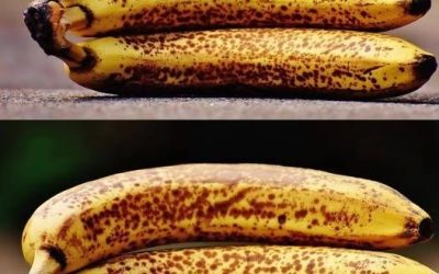 Als je dagelijks bananen met zwarte vlekken eet, zal je lichaam het volgende ervaren: