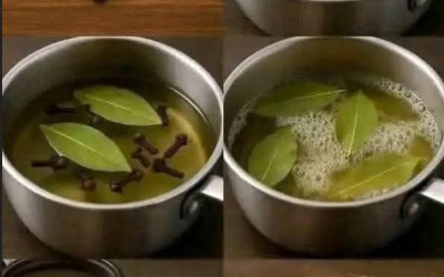 Kruidenthee van laurierblad en kruidnagel: een eenvoudige infusie met traditionele en krachtige eigenschappen.