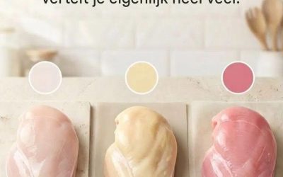 Waarom de kleur van kip nog steeds verwarrend is voor consumenten – en wat dat werkelijk zegt over de kwaliteit.