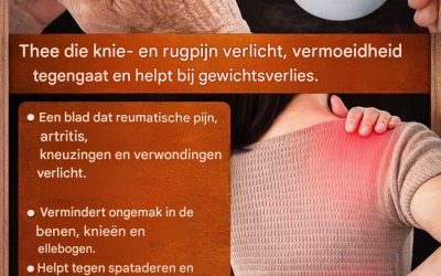 Eén enkel blaadje verlicht reumatische pijn, artritis, kneuzingen en verwondingen. Verzacht beenpijn.
