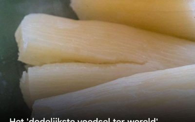 Dodelijk maar populair: het voedsel dat jaarlijks 200 levens eist.
