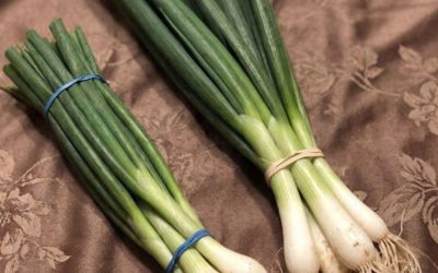 Artsen onthullen dat het eten van groene uien de volgende gevolgen kan hebben…