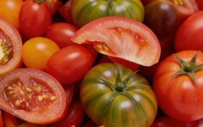 Volgens sommige onderzoeken kan de consumptie van tomaten dit effect op het lichaam hebben.