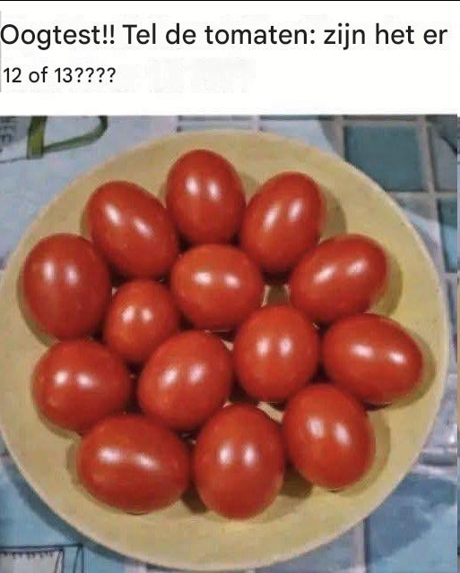 Oogtest!! Tel de tomaten: zijn het er 12 of 13???