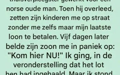 Tien jaar stilte en een geheime erfenis: wat de envelop onder het bed van de miljonair verborgen hield.