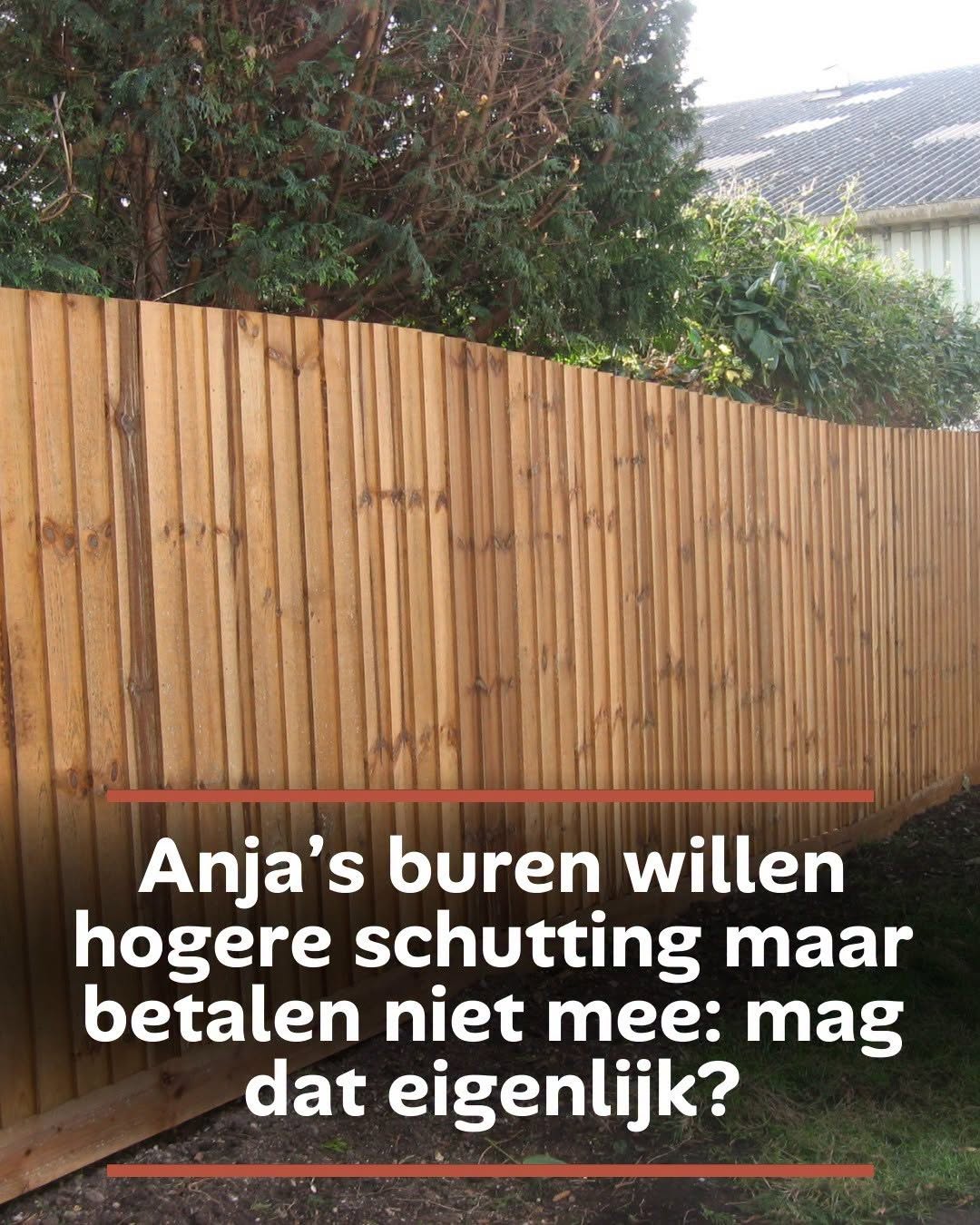 Anja’s buren willen hogere schutting maar betalen niet mee: mag dat eigenlijk?