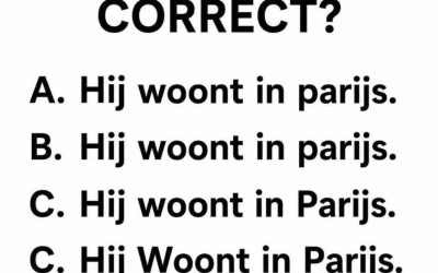 De internetpuzzel: Welke zin is écht correct?