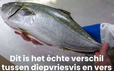 Het verschil tussen diepvriesvis en vers gevangen vis