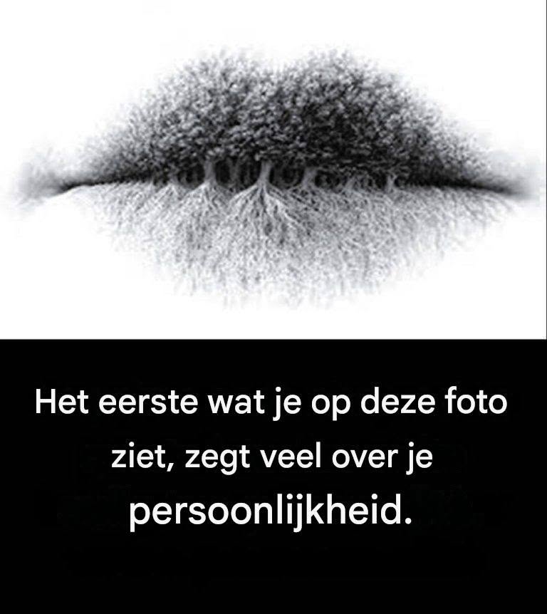 Wat zie je op de afbeelding? Het antwoord onthult je psychologische aard.
