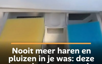 Nooit meer haren en pluizen in je was: deze sponsjes-truc voor de wasmachine werkt verbluffend goed