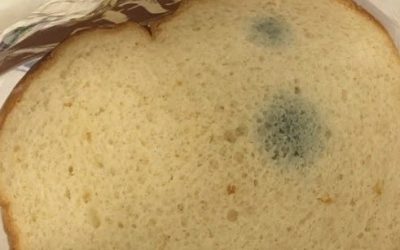 Is oud brood nog veilig om te eten? Dat moet je weten.