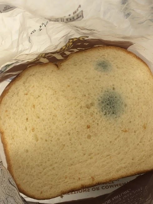 Is oud brood nog veilig om te eten? Dat moet je weten.