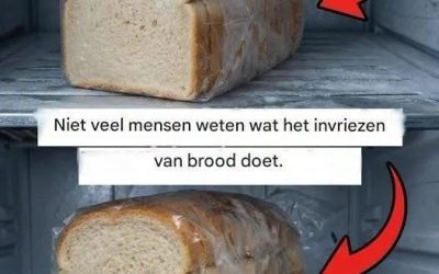 Praktische handleiding voor het correct invriezen van brood