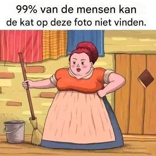 99% van de mensen kan de kat op de foto niet vinden.