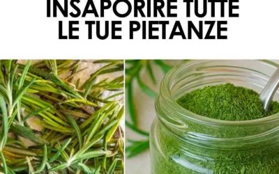 Hoe maak je rozemarijnpoeder: een stapsgewijze handleiding voor een natuurlijk en heilzaam ingrediënt