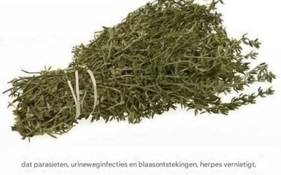 Recept voor heerlijke, met room gevulde sigaren, suikervrij, zuivelvrij, glutenvrij en gegarandeerd een succes bij fijnproevers.