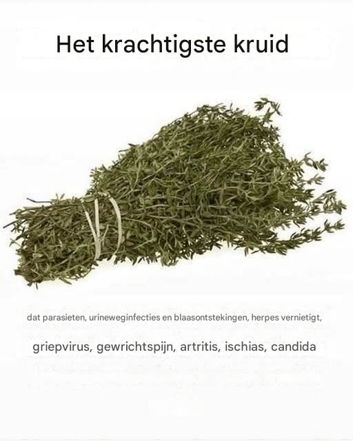 Recept voor heerlijke, met room gevulde sigaren, suikervrij, zuivelvrij, glutenvrij en gegarandeerd een succes bij fijnproevers.