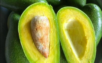 Veroorzaakt het eten van avocado’s echt gezondheidsproblemen? De mening van artsen.