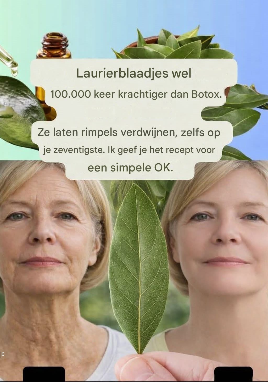De laurier