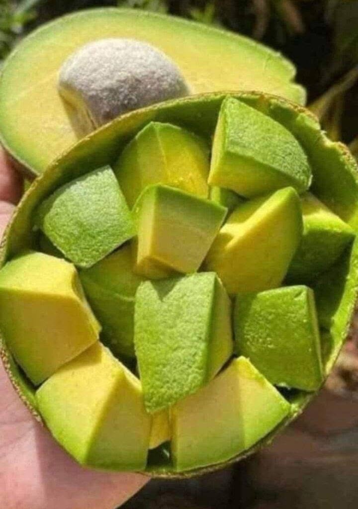 Artsen onthullen dat het eten van avocado’s de volgende gevolgen heeft… Meer weergeven