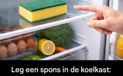 Leg een spons in de koelkast: een vervelend probleem kan voorgoed verdwijnen.