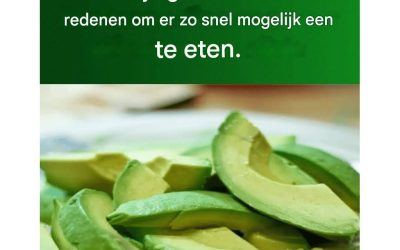 Abacate: Een Gezondheidsboost voor Elke Dag