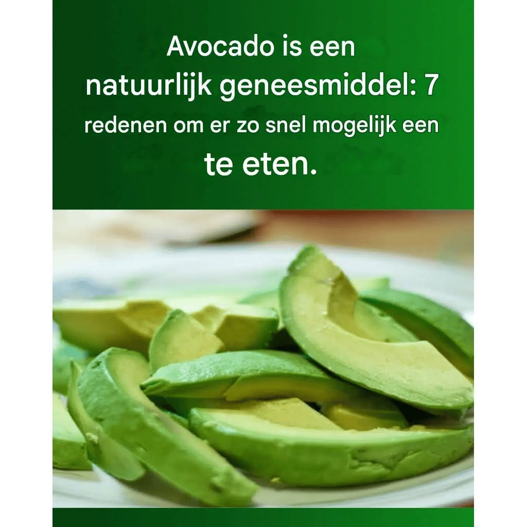 Abacate: Een Gezondheidsboost voor Elke Dag