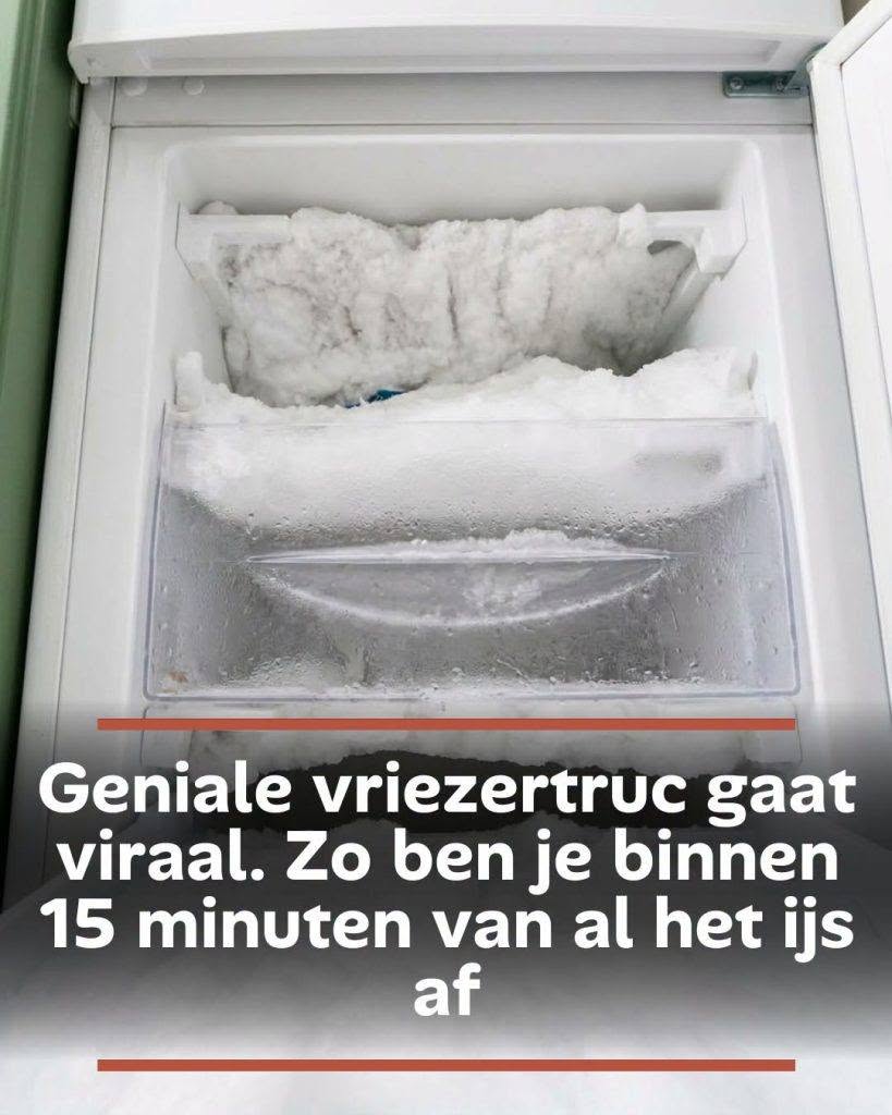 Geniale vriezertruc gaat viraal. Zo ben je binnen 15 minuten van al het ijs af