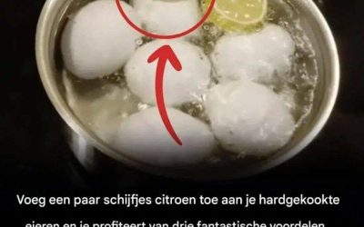 Waarom eieren met citroen bereiden: onze tips