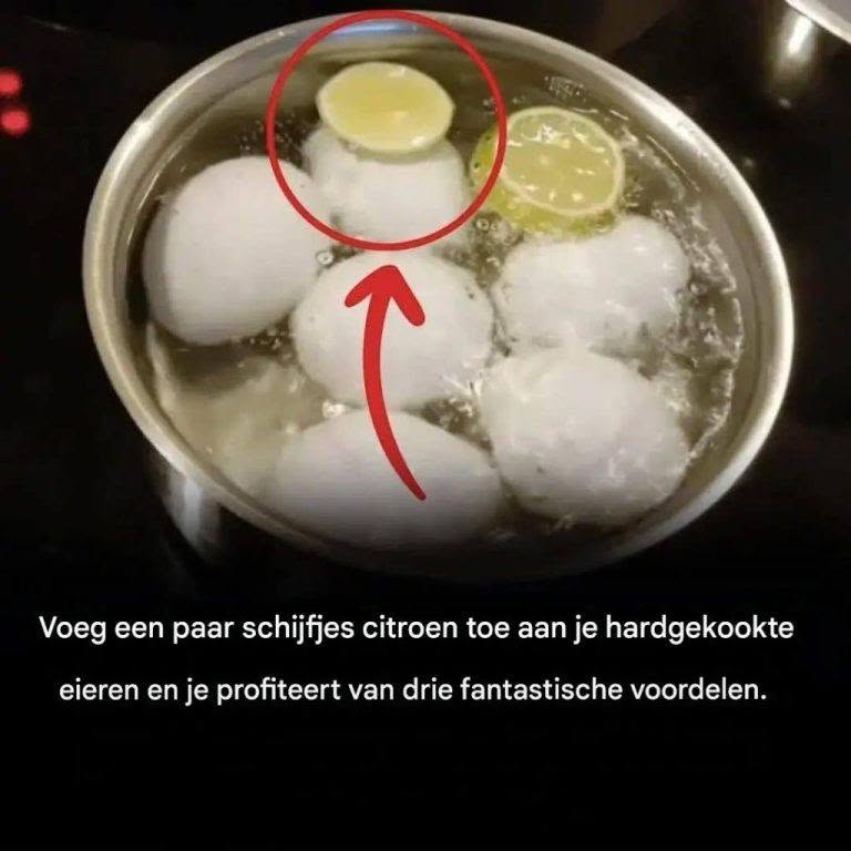 Waarom eieren met citroen bereiden: onze tips
