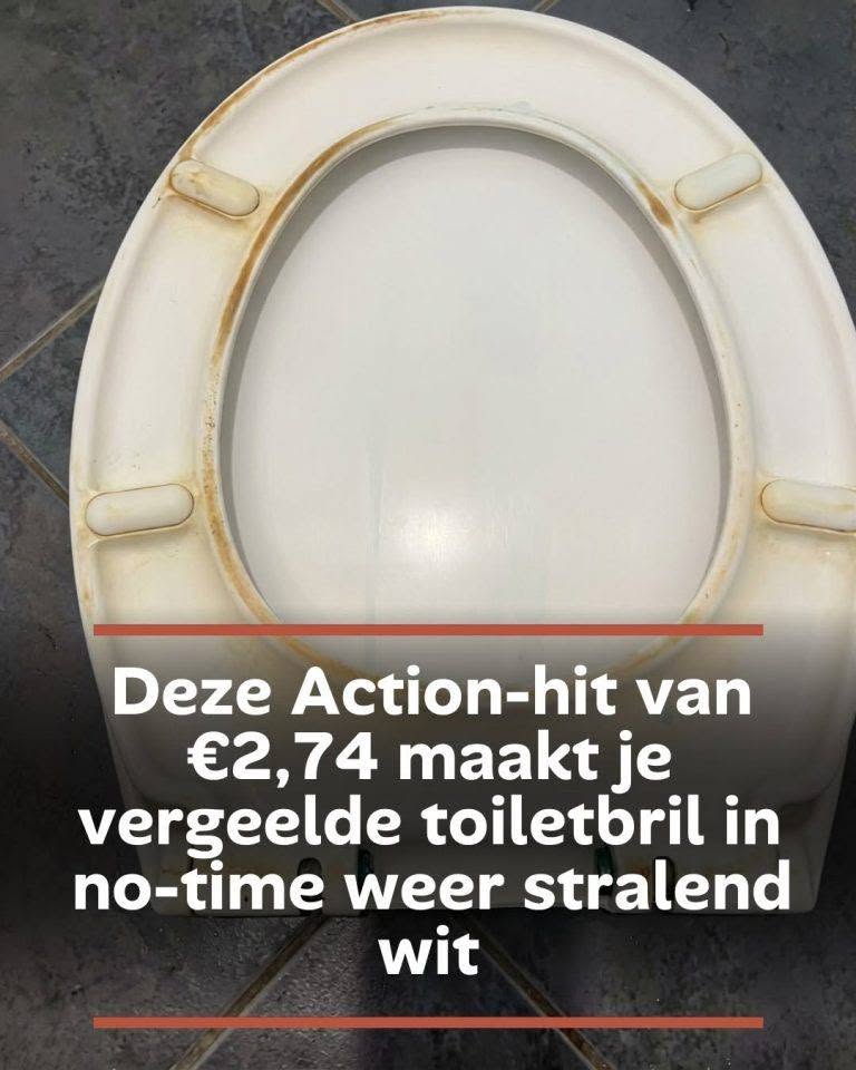 Deze Action-hit van €2,74 maakt je vergeelde toiletbril in no-time weer stralend wit