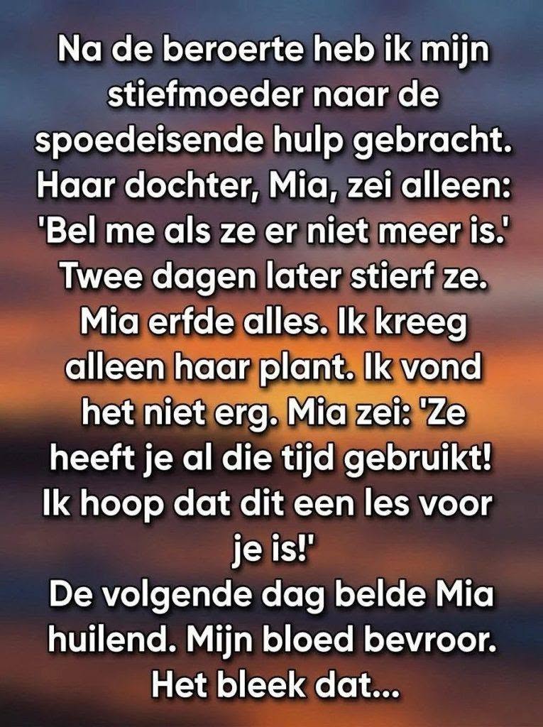 De Erfenis van Stilte: Het Geheim Achter een Vergeten Plant