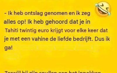 Humor voor één nacht 21