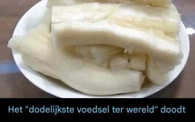 Elk jaar sterven er meer dan 200 mensen aan de gevolgen van ‘s werelds dodelijkste voedsel, en toch blijven bijna 500 miljoen mensen het eten.