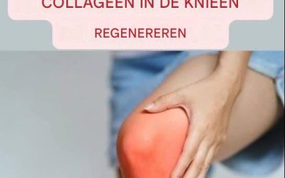 Lelieblad: eigenschappen, voordelen en toepassingen van een elegante en therapeutische plant