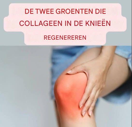 Lelieblad: eigenschappen, voordelen en toepassingen van een elegante en therapeutische plant