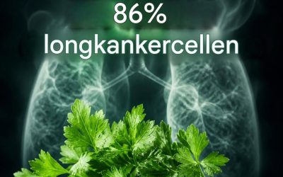 De plant doodt 86% van de longkankercellen.