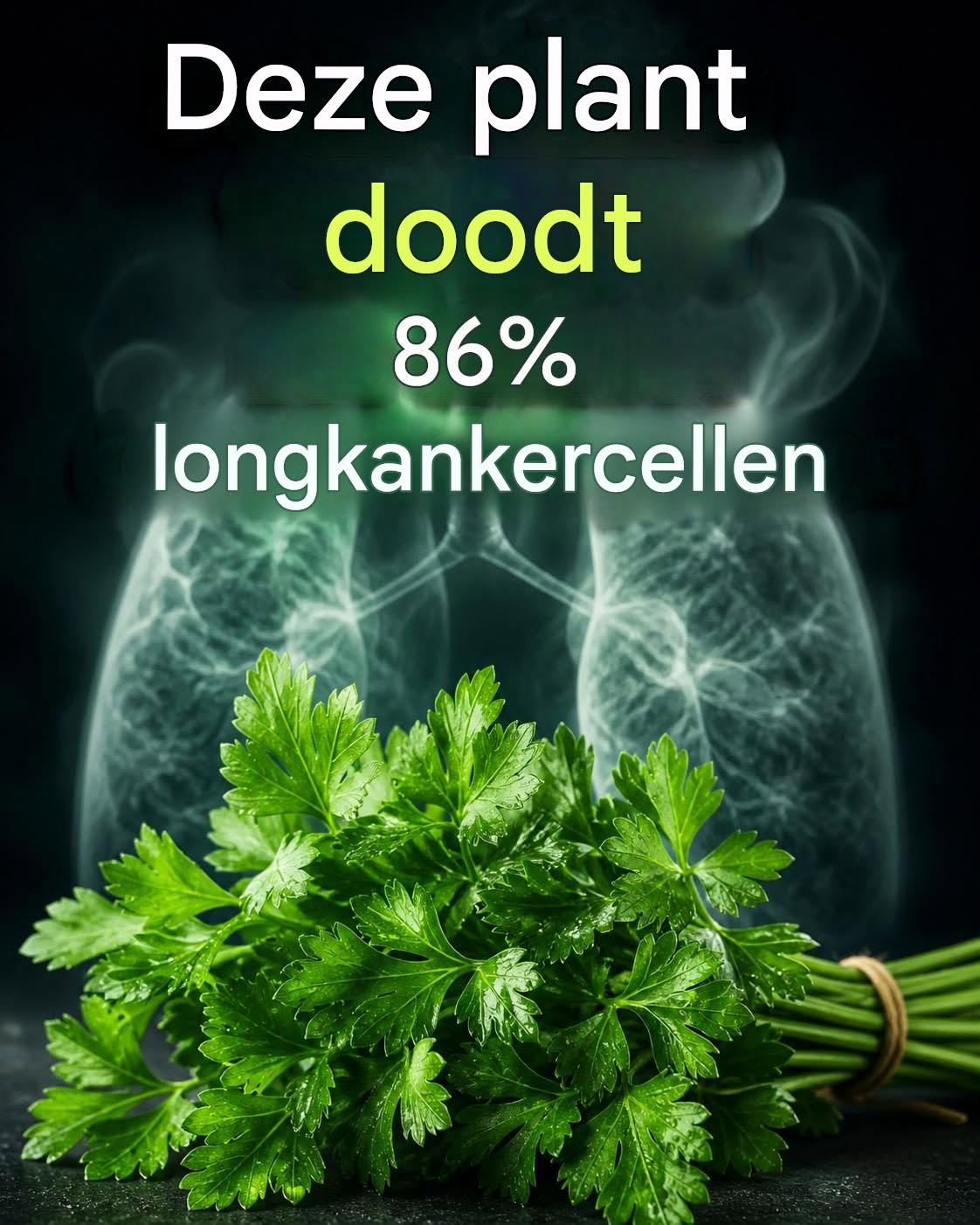 De plant doodt 86% van de longkankercellen.