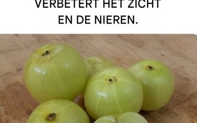 De vrucht met de meeste antioxidanten: ze regenereert de lever en bevat 20 keer meer vitamine C dan sinaasappelsap.