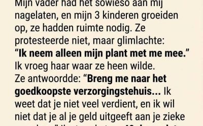 De Eenzame Plant en het Geheim in de Aarde